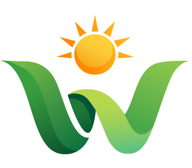 WaveSol Energy